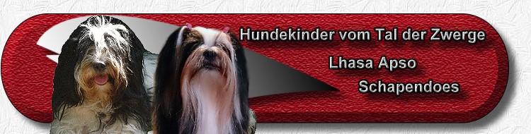 neuer Banner 2018